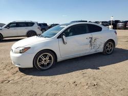 Salvage cars for sale at Amarillo, TX auction: 2009 Scion TC