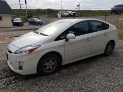 Toyota salvage cars for sale: 2010 Toyota Prius