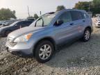 2008 Honda CR-V EX