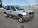 2006 Ford Escape XLT