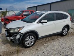 Salvage cars for sale at Arcadia, FL auction: 2014 Honda CR-V EXL