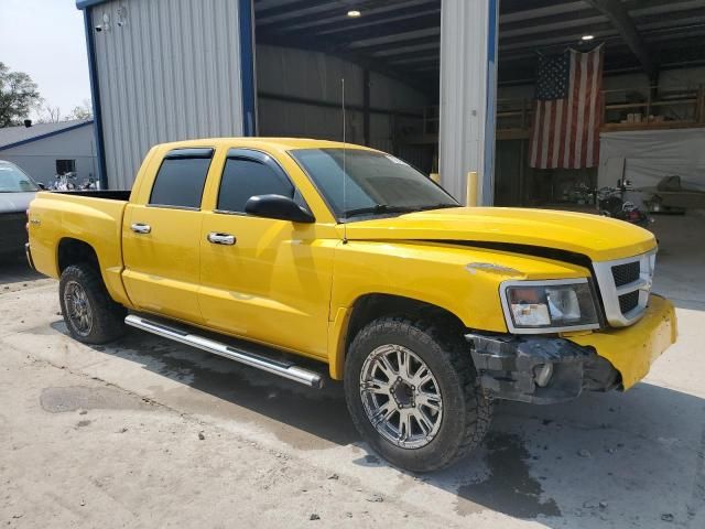 2009 Dodge Dakota SXT