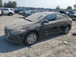 Hyundai Elantra salvage cars for sale: 2017 Hyundai Elantra SE