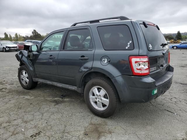 2009 Ford Escape XLT