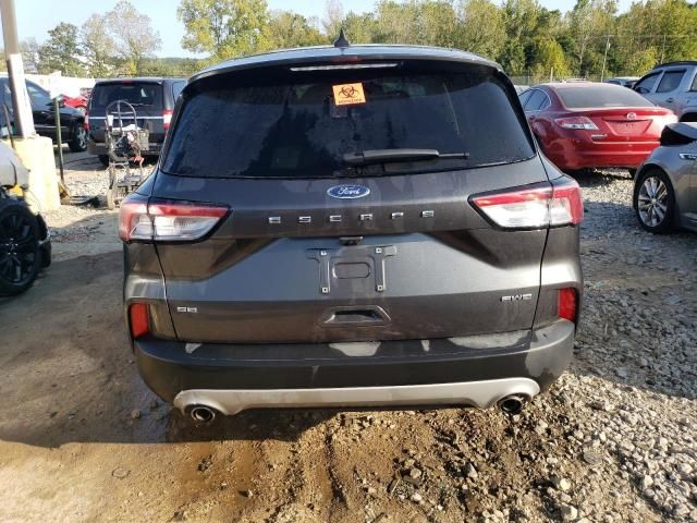 2020 Ford Escape SE