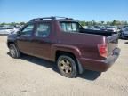 2009 Honda Ridgeline RT