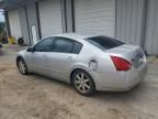 2004 Nissan Maxima SE