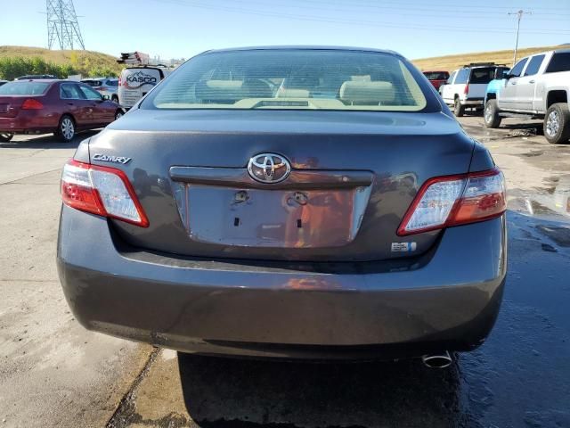 2007 Toyota Camry Hybrid