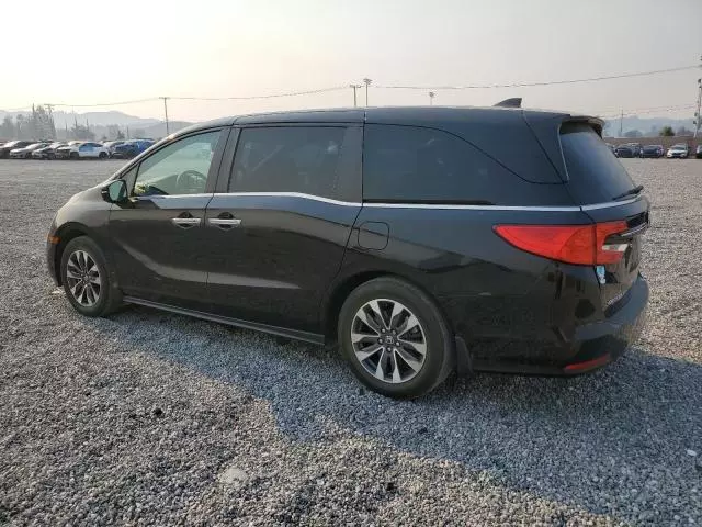 2022 Honda Odyssey EXL