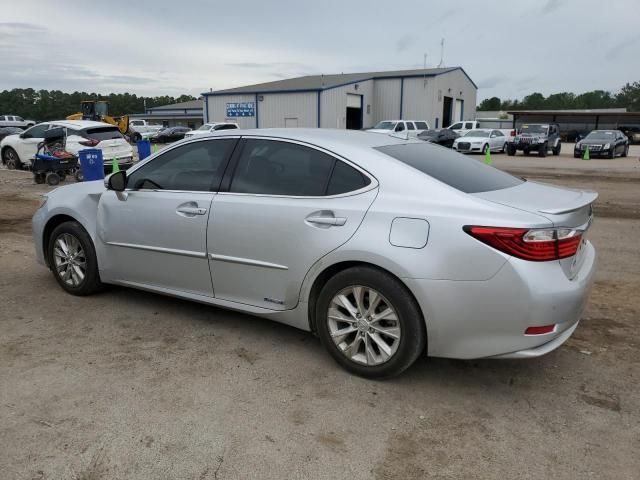 2013 Lexus ES 300H