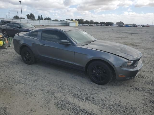 2010 Ford Mustang