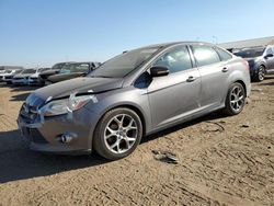 Ford salvage cars for sale: 2014 Ford Focus SE