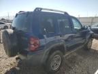 2005 Jeep Liberty Renegade