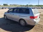 2009 Honda Odyssey EXL