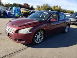 Nissan salvage cars for sale: 2012 Nissan Maxima S