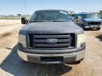 2010 Ford F150