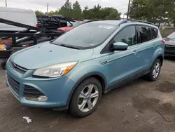 Salvage cars for sale at Denver, CO auction: 2013 Ford Escape SE