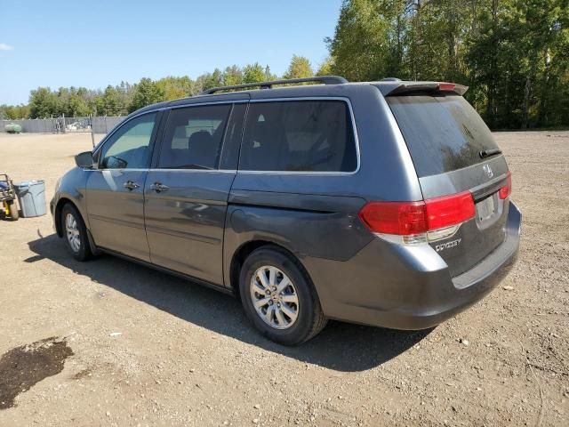 2010 Honda Odyssey EXL