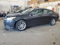 Salvage cars for sale at Ham Lake, MN auction: 2014 Chevrolet Malibu 1LT