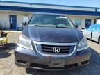 2008 Honda Odyssey EXL