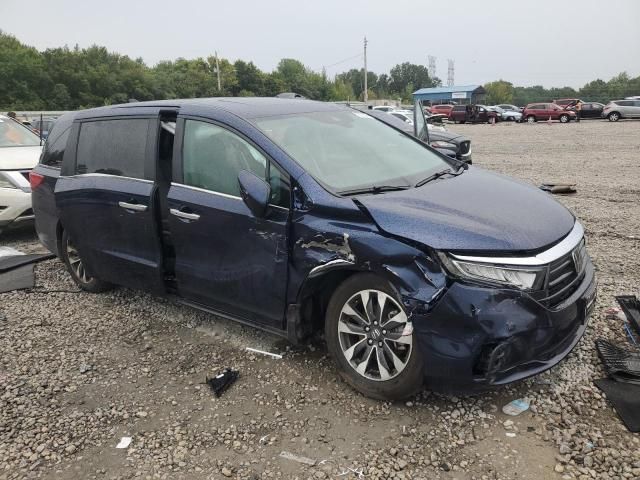 2024 Honda Odyssey EXL