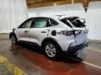 2020 Ford Escape S