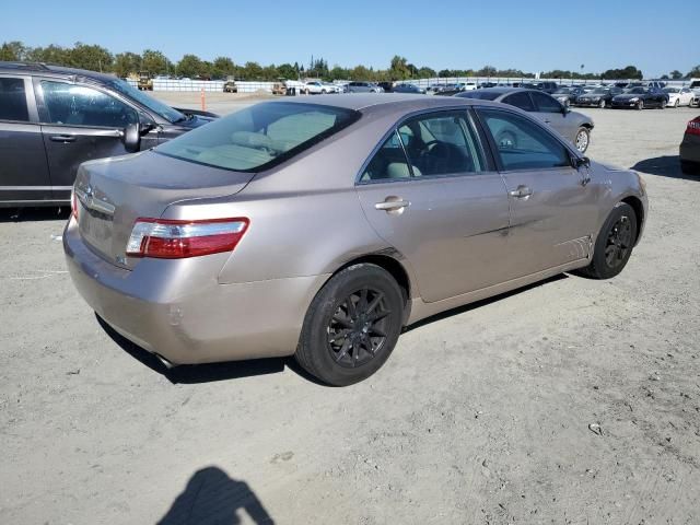 2009 Toyota Camry Hybrid