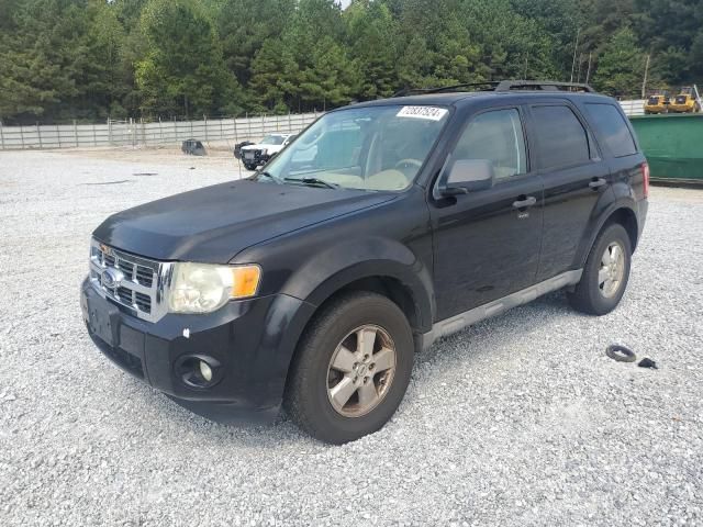 2009 Ford Escape XLT