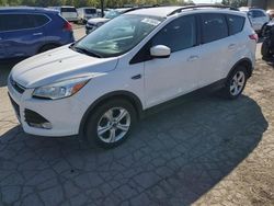 Ford Vehiculos salvage en venta: 2014 Ford Escape SE