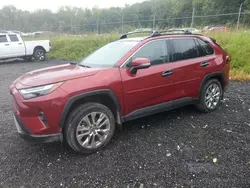 Salvage cars for sale at Baltimore, MD auction: 2023 Toyota Rav4 XLE Premium