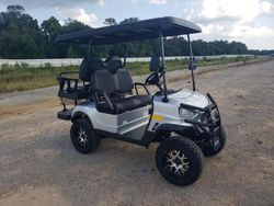 Salvage trucks for sale at Theodore, AL auction: 2025 Other Golf Cart