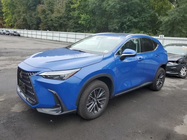 2023 Lexus NX 350