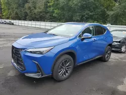 Lexus salvage cars for sale: 2023 Lexus NX 350