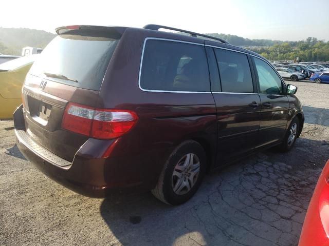 2007 Honda Odyssey EXL