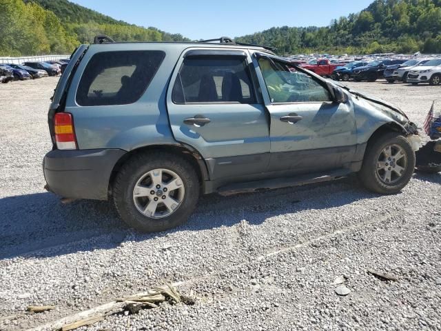 2007 Ford Escape XLT