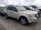 2008 Ford Escape XLT