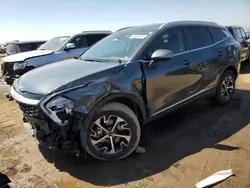 Salvage cars for sale at Brighton, CO auction: 2023 KIA Sportage EX