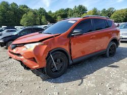 Carros salvage sin ofertas aún a la venta en subasta: 2016 Toyota Rav4 LE