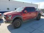 2019 Ford F150 Raptor