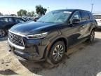 2024 Infiniti QX60 Pure