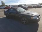 2000 Ford Mustang