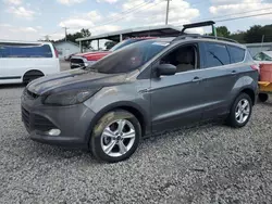 Salvage cars for sale at Conway, AR auction: 2013 Ford Escape SE