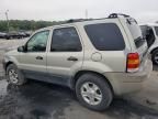 2003 Ford Escape XLT