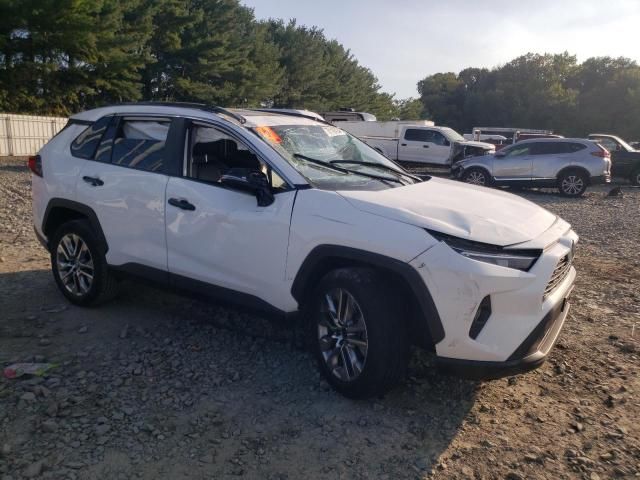 2019 Toyota Rav4 XLE Premium