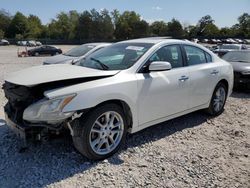 Nissan salvage cars for sale: 2013 Nissan Maxima S