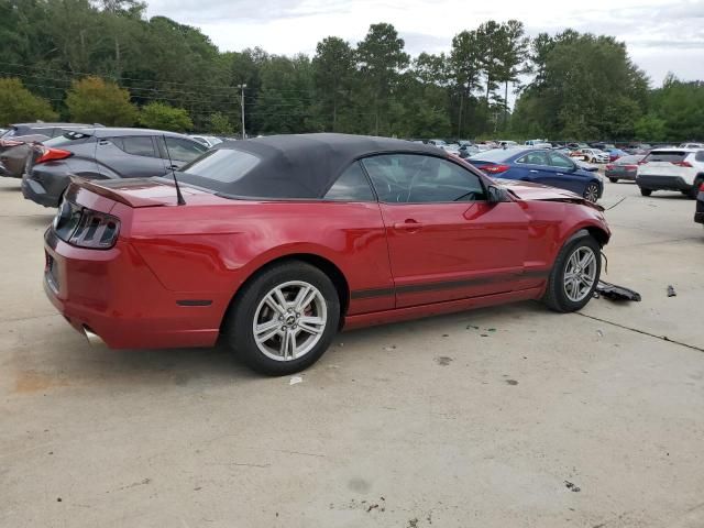 2014 Ford Mustang