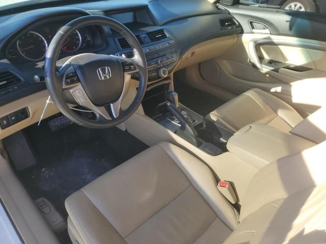 2012 Honda Accord EXL