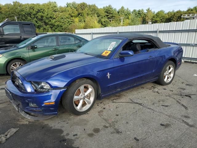 2013 Ford Mustang