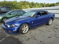 Ford salvage cars for sale: 2013 Ford Mustang