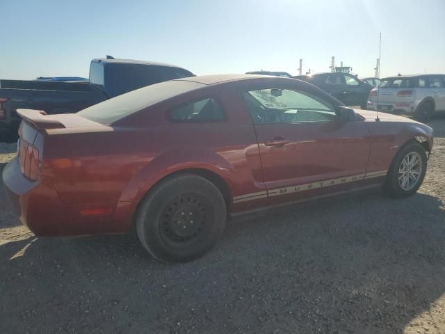 2006 Ford Mustang